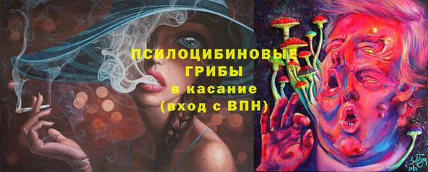 дурь Алзамай