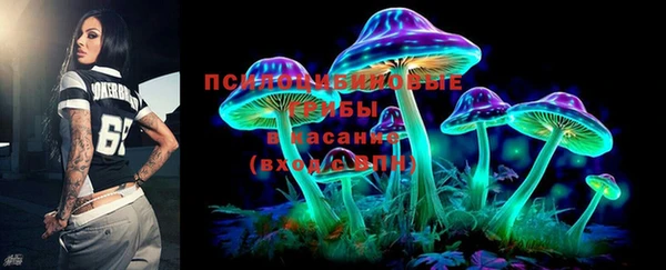 молекула духа Абинск