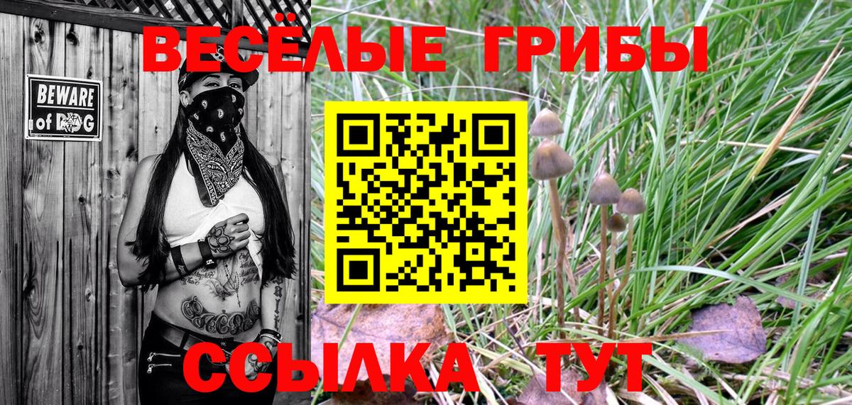 Псилоцибиновые грибы MAGIC MUSHROOMS  Галлюциногенные грибы ЛСД  Вход с VPN  Павловский Посад 