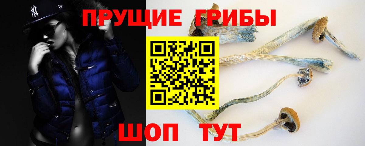 Псилоцибиновые грибы мухоморы Павловский Посад