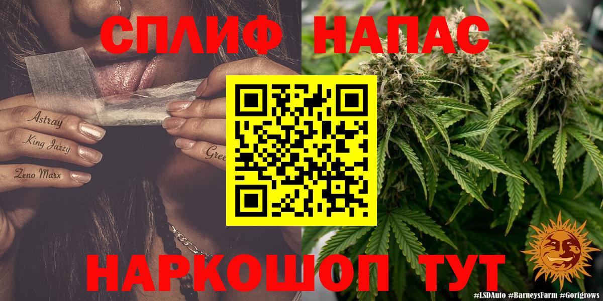 Каннабис планчик Павловский Посад